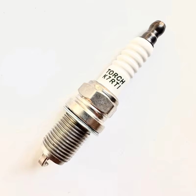 Spark Plug for 1100 Renli Joyn - Spark Plug 评论和价格